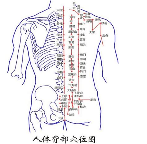 背部痣吉凶|背部有痣图解大全 背部有痣的人看命运